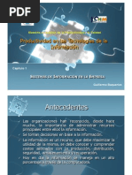 Capítulo 1 Sistemas de Información