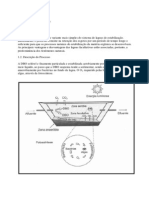 Lagoas de Estabilização PDF