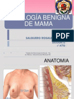 Patología Benigna de Mama