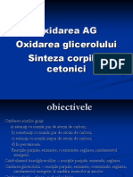 Oxidarea AG