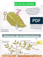 Imagenes de Procesos Fisico-Quimicos