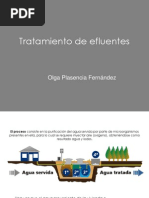 Tratamiento de Efluentes 120711052221383 4