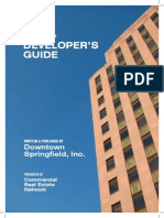 DSI's Downtown Developer's Guide