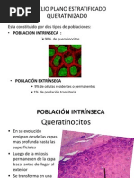 Mucosa Bucal