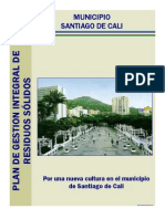 Documento Pgirs 2004 Cali