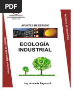 Apuntes Ecologia Industrial