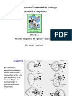 012-2011 AV2-Urogenital Eq y Rum