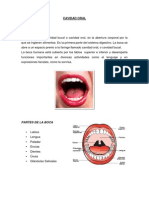 Cavidad Oral