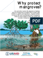 201001WhyProtectMangroves PDF