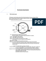 Human Visual System (Disowner)