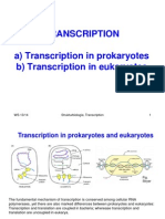 II Transcription