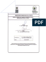 Manual Operativo Trampeo Preventivo Contra Moscas Exoticas Fruta 21-Dic-2010 PDF