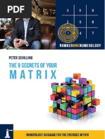 The 9 Secrets of Your Matrix (Sample Numerology Reading)