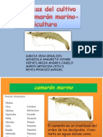 Diapositivas de Acuicola