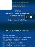 Brucelosis Humana