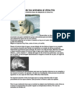 Adaptaciones de Los Animales Al Clima Frío