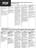 Care Plan Example