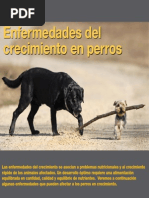 AV 35 Enfermedades Crecimiento Perros