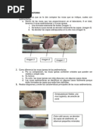 Informe Rocas Sedimentarias