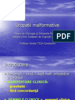 Uropatii Malformative