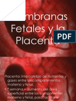 Membranas Fetales y Placenta