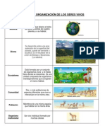 Biologia // Niveles de Organización de Los Seres Vivos - Tipos Celulares - Transportes Celulares - Tejidos y Células Principales