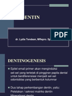 Tentang Dentin