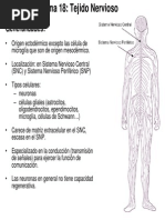 Tema 18 y 21. Diapositivas. Tejido Nervioso y Sistema de Comunicacion Neural Biol-Enf 11-12 Decrypted