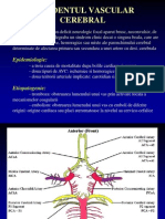 Curs V - Boala Cerebrovasculara