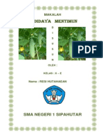 BUDIDAYA Mentimun