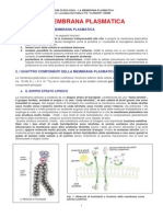 1163 - La Membrana Plasmatica PDF