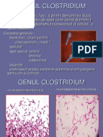 Clostridium