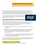 Anatomía Funcional Del Sistema Nervioso Central