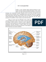 CSF (Cerebrospinal Fluid)