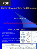 Bacterial Morphology and Structure: Xiao-Kui Guo PHD