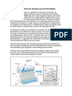 Princípios Da Técnica de Eletroforese