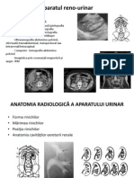 Renal