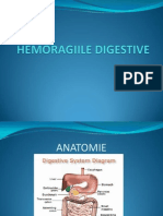 Hemoragiile Digestive