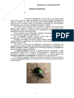 Orden Coleoptera PDF