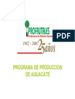 Aguacate, Programa de Produccion