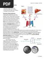 Lec34 F08 Handout