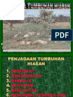 Penjagaan Tanaman Hiasan