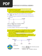 Ejercicios Resueltos Sistema Hierro Carbono