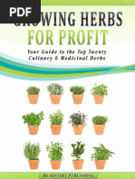 Growing Herbs For Profit