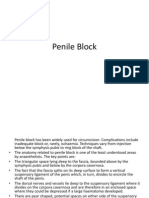 Penile Block