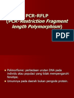 RFLP