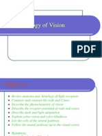 The Photochemistry of Vision