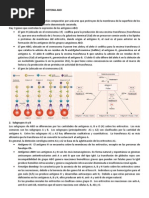 Resumen Sistema Abo