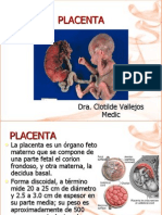 16 Placenta