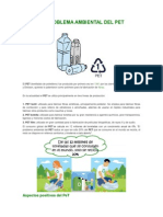 El Problema Ambiental Del Pet